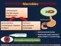 Antibiotics "Pediatric Infectious Diseases I"