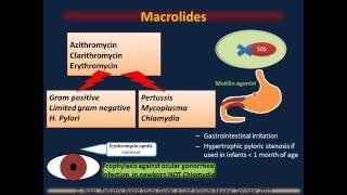 Antibiotics "Pediatric Infectious Diseases I" screenshot 5