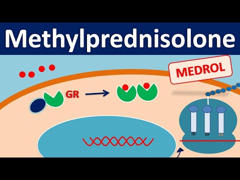 Video: Methyl Prednisolone - Medisyne En Voorskriflys Vir Troeteldiere, Honde En Katte