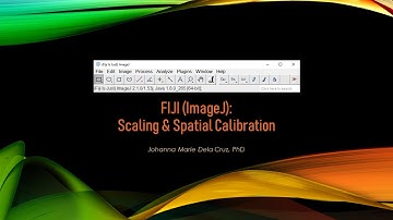 FIJI (ImageJ): Scaling & Spatial Calibration