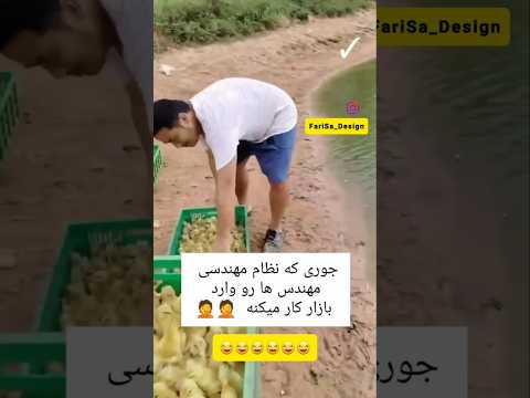 یه حقیقت جالب در مورد نظام مهندسی معماری طنز فکت مهندس یوتیوب شورت نظام مهندسی