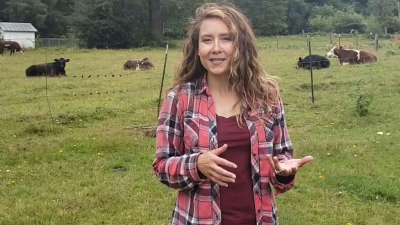 FULL Homestead TOUR [Raising Livestock for a Year's Worth of Food