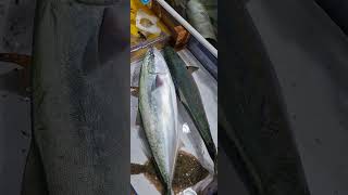 3월의 시작.....대왕 #한치 쌩바리 #대방어 #청어 는 필수 #줄가자미