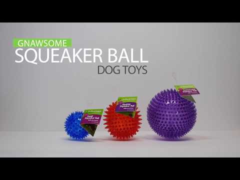 Gnawsome Spiky Squeaker Ball Dog Toys - Cleans Teeth and Promotes Healthy Gums, Colors vary