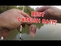 How to catch catfish from the bank  catfishing bait rigs  tips