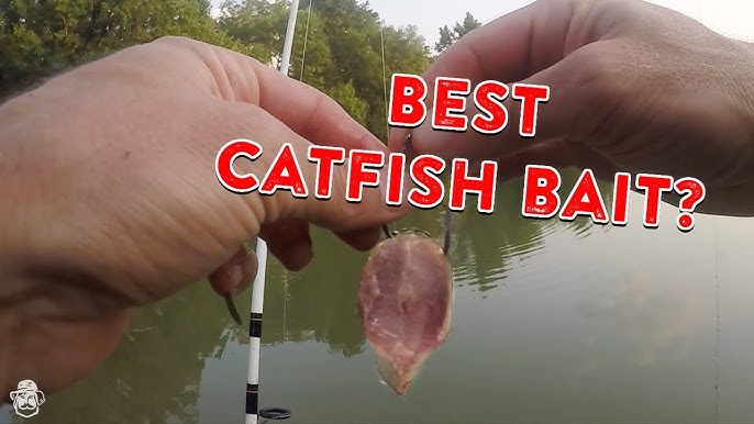 Testing Lew's Cat Daddy Catfish Rod Combo, Fishing For Catfish
