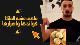 جذور الماكا: فياجرا طبيعية وفوائد مذهلة أخرى! - ماهى عشبة الماكا -Macca Roots