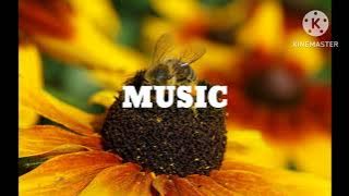 KARAOKE🎤CAHAYO BULAN CIPT;JUNARSIK RIZAL OCU