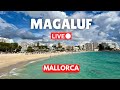 🔴Live in Magaluf, Mallorca (Majorca) | 10 November 2024