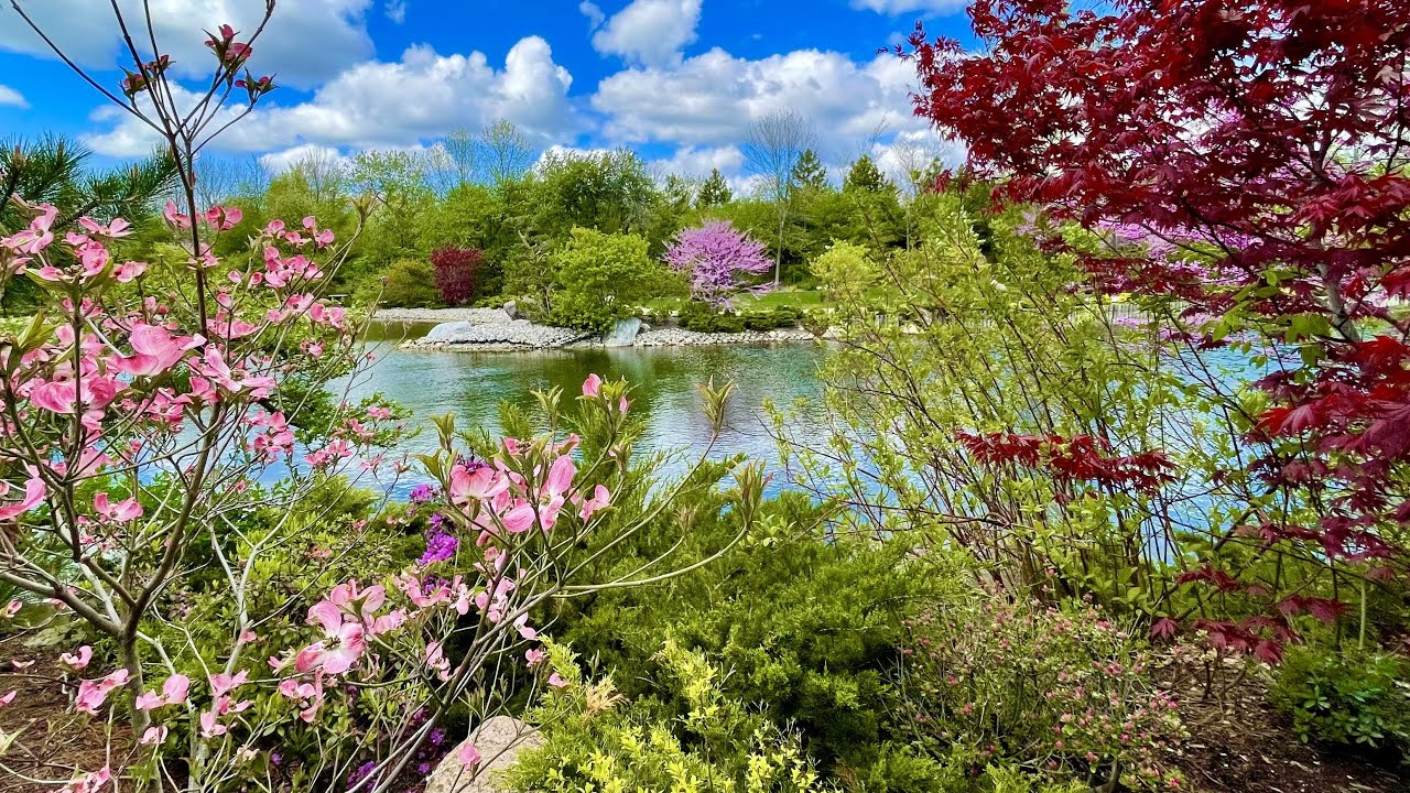 The Japanese Garden at Frederik Meijer Gardens Grand Rapids, Michigan