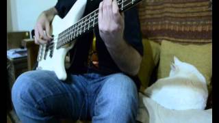 Red Hot Chili Peppers   Soul To Squeeze   Bass Cover