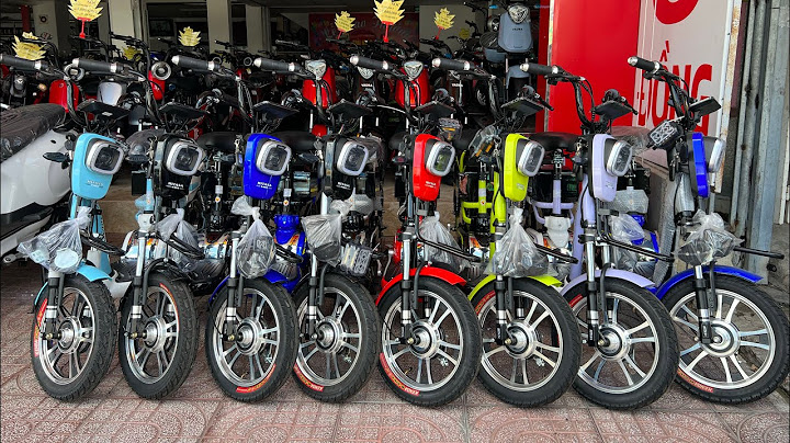 Xe đạp điện hitasa giá bao nhiêu năm 2024
