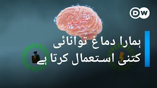 انسانی دماغ اتنی زیادہ توانائی کیوں استعمال کرتا ہے؟ | DW Urdu