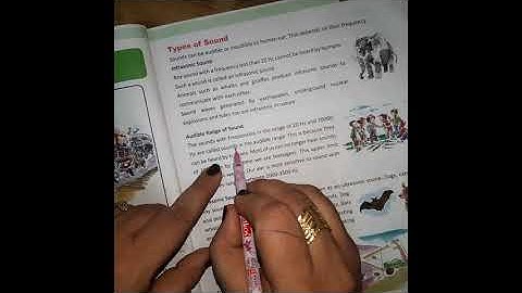 Evs Ch-14 Sound Part-1 ( LRII)