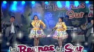 Video thumbnail of "Las reynas del sur - mil cervesas"