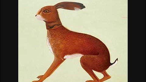Vashti Bunyan - Here Before