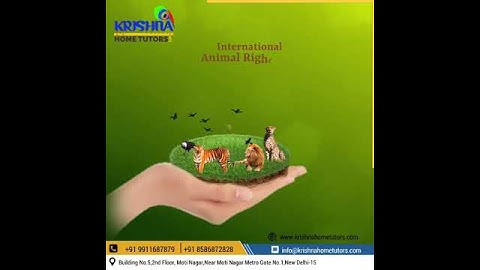 FREE DEMO CLASS || ALL SUBJECT || CLASSES #hometuition #hometutors #delhi #privatetutor  9911687879