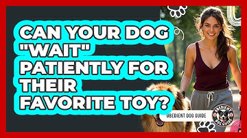 Can Your Dog "wait" Patiently For Their Favorite Toy? - Obedient Dog Guide
