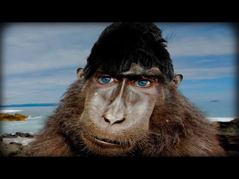 @GLADIATORPWNZ опять попустился в игре для детей