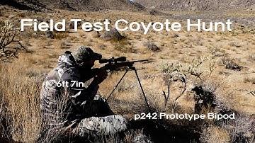 p242 Hunting Bipod (Prototype) Field Test *6