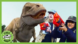 Hide and Seek Box Fort Dinosaur Adventure! T-Rex Ranch Dinosaur Videos