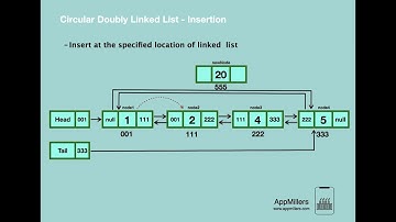 Insertion in Circular Doubly Linked List
