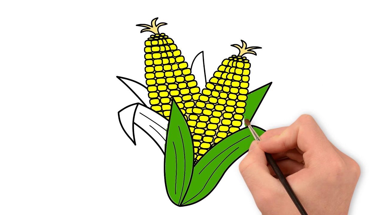 Trái bắp là loại rau củ phổ biến trong chế biến thực phẩm, nhưng bạn có biết cách vẽ trái bắp để tạo ra những bức tranh thú vị không? Hãy nhấp chuột vào hình ảnh về trái bắp với kĩ thuật vẽ tinh tế và sinh động để thêm ý tưởng cho tác phẩm của mình!