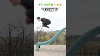 How different animals go down a slide. (With emojis)