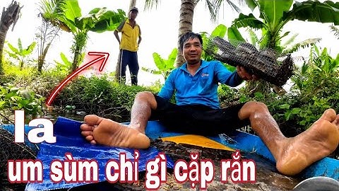 Đi thăm lờ cá - thật bất ngờ - con rắn này ở đâu ra - vũ heo