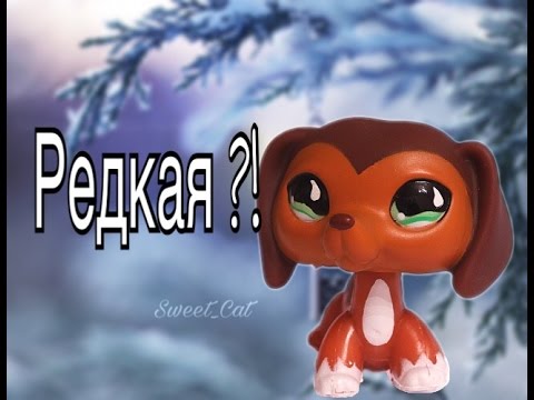 Лпс популяр герои. Proton car red. Малайская машина. Хендай протон. Савви сухх.