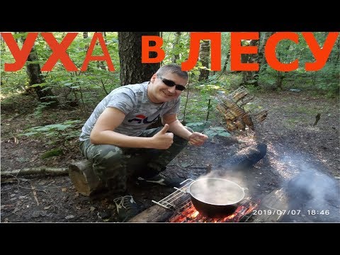 Video: Ukha Z čerstvých říčních Ryb