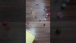 Crazy Bouncing Balls reverse Net Worth