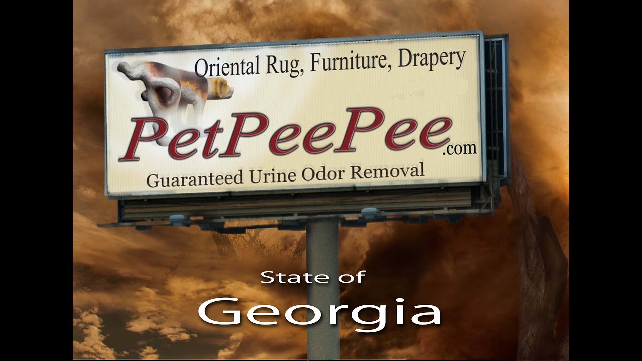 PetPeePee Company-Cleaning A Prey rug for Mrs. Sarah Savannah Georgia