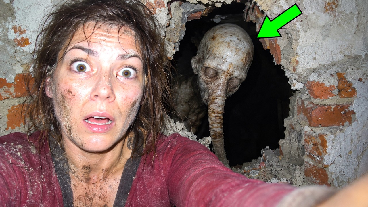 50 Strangest Discoveries Hidden in Homes That Were Never Meant to Be Found – Video