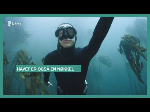 Video: Er på vann avgjørende for livet?