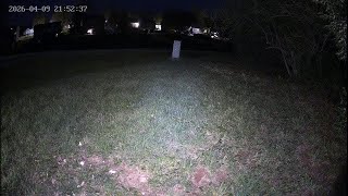 CAM 4: ♥️ REPLAY 🌷Critter CamTV ☔️ | 24/7 Wild Animals & Birds | Spring Kentucky USA
