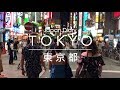 Japan Diary: Tokyo (Shinjuku, Shibuya, Akihabara, Ginza)