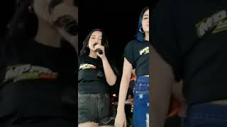 Download Lagu duo mletre|bebas merdeka|story wa MP3
