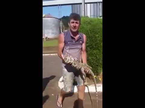 VAI MEXER COM QUEM ESTA QUIETO SEU BURRO  obs o lagarto esta bem nao machucaram ele por sorte