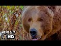 The edge clip  bear chase 1997 anthony hopkins