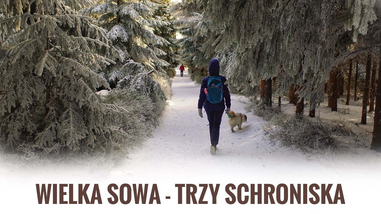 Wielka Sowa 1015 m n.p.m. - Góry Sowie #KGP