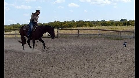 Catson  ***For info, price, etc., go to our website*** Valley View Ranch