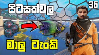 පිටසක්වල මාලු ටැංකි | The Planet Crafter #36