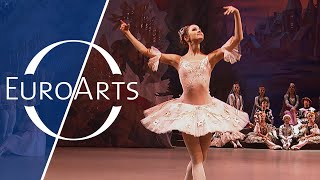 Tchaikovsky - The Nutcracker: Sugar Plum Fairy, Pas de Deux, Waltz of the Flowers | Best Dances