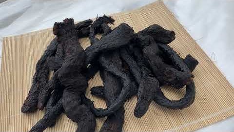 Nhục thung dung và những công dụng ít ai biết tới