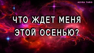 Что ждет меня этой осенью?