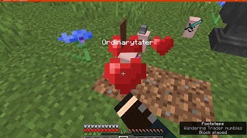 Lil Tater Reloaded 1.15.2 & 20w20b (1.16) Fabric Mod Overview (An Essential Mod)