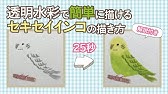 メイキング かわいいセキセイインコのイラストを描いてみた ぷうまん Youtube メイキング かわいいセキセイインコのイラストを描いてみた ぷうまん Youtube