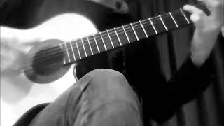 Sting &amp; Dominic Miller - Fields of Gold (cover version)