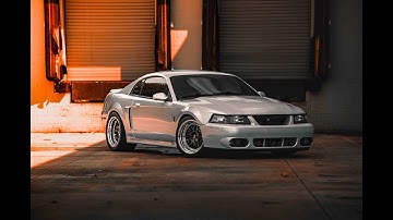 SVT Cobra " Terminator"....Pure Muscle (4k)